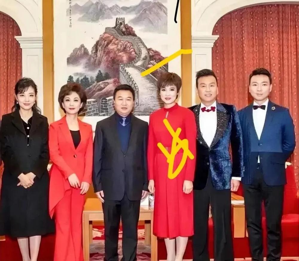 一群央视主持人合影，海霞个子最小，气质却是最优！右三是李梓萌。

感觉这些主持人