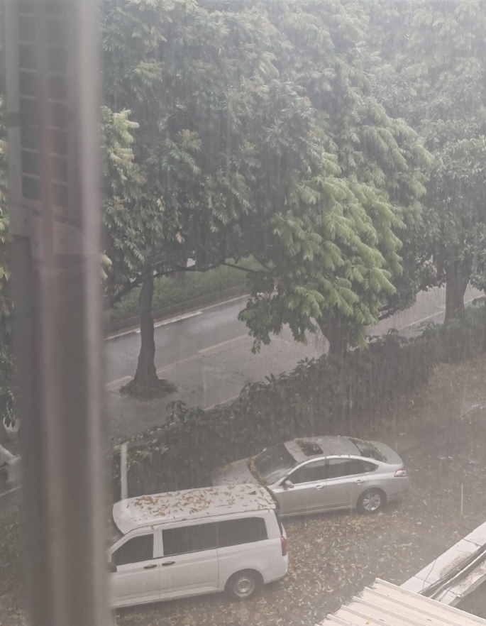 广东的暴雨，损失有点大！

那对这种特大暴雨，政府有没有及时预警？

这些年大家