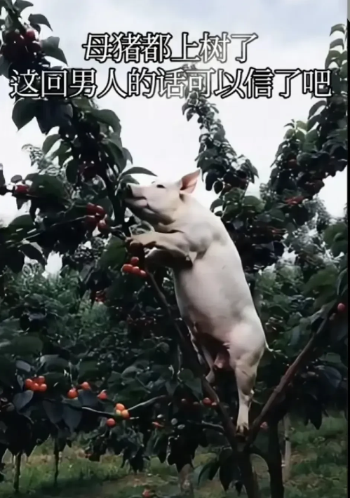 太寒心了，我老公每天晚上他说都出去应酬，不知道真的应酬还是假的应酬？很晚才回来，