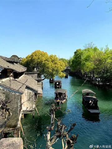 我本无意入江南，奈何江南入我心。 ​