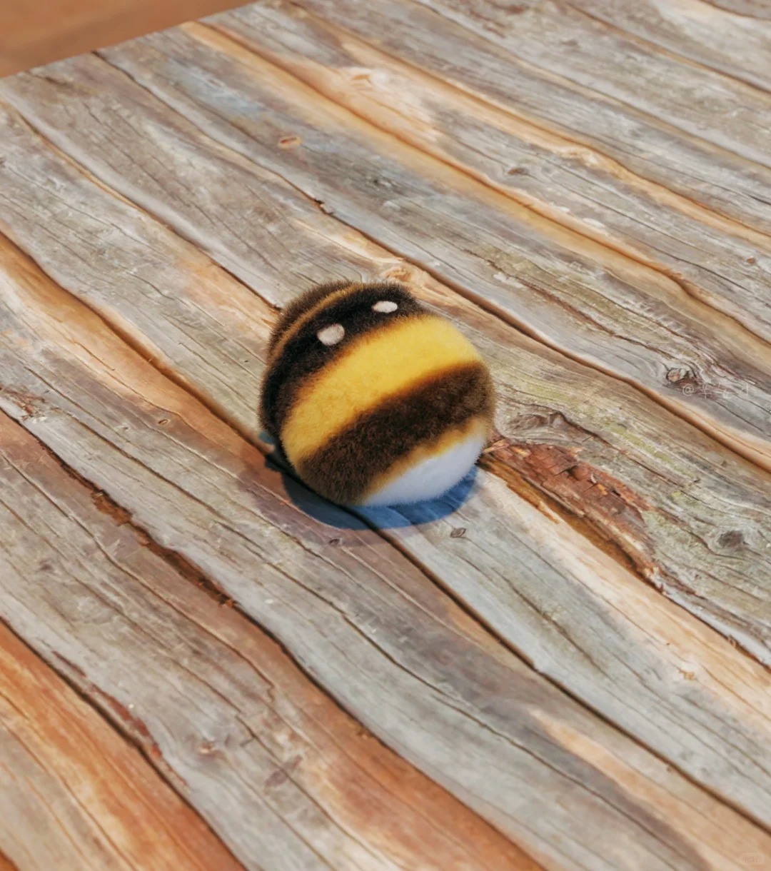 胖胖蜂🐝 给我摸摸你的小屁股吧～