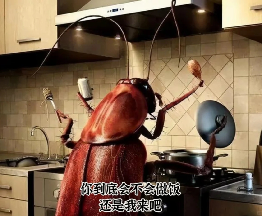 广东蟑螂有多可怕，进化了吗？
近日，广东地区传出蟑螂似乎已进化的说法，引起了广泛