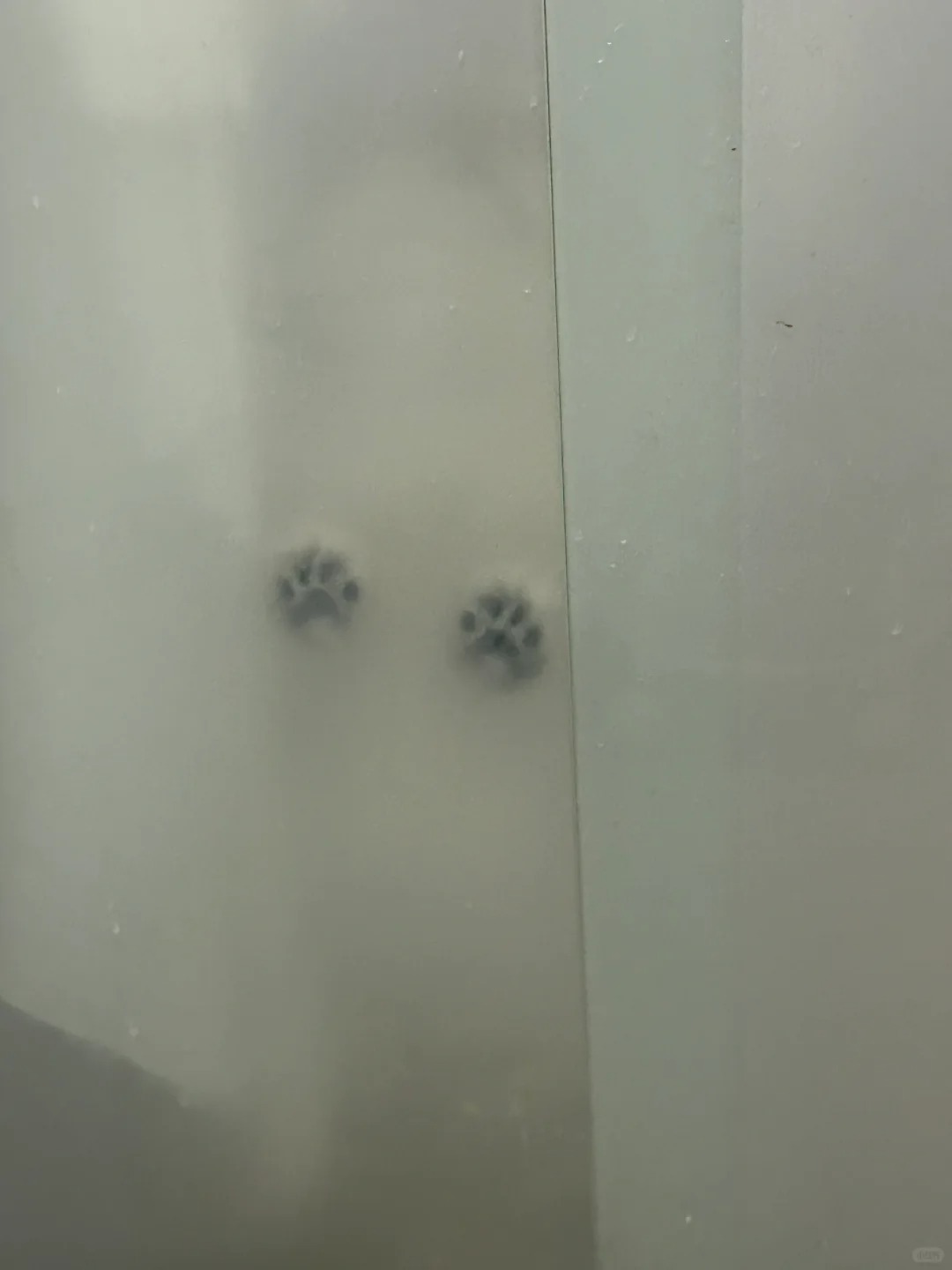 上厕所上到一半突然惊现一双手
每次去卫生间都要在门口边叫边扒拉门