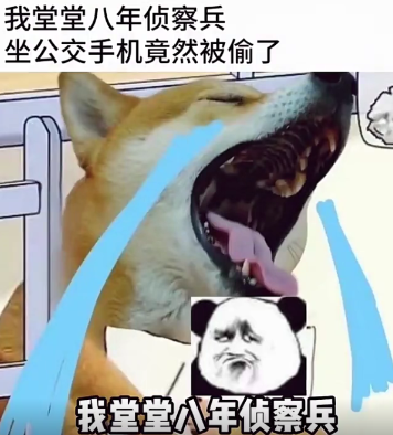你们这经历太惨了吧！