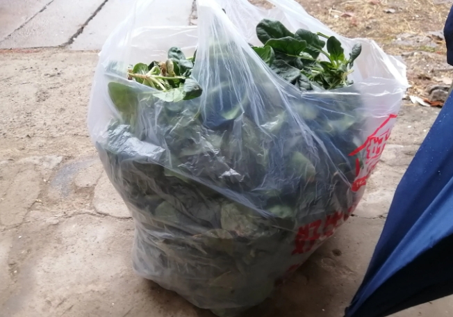 今天去买年货，逛了好几个超市，这几天临近过年了，菜和肉都涨价了。
今天买了一兜子