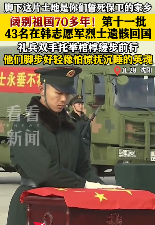 网友：“看到礼兵轻缓的步伐，我的眼泪再也忍不住了！这盛世，如你们所愿！”11月2