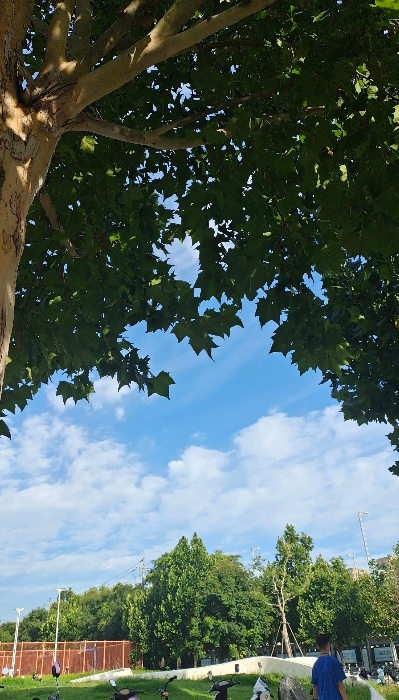 我一个堂弟，今年34岁，年初经媒人介绍娶一个二婚带女儿的女人，比他大2岁，女人看