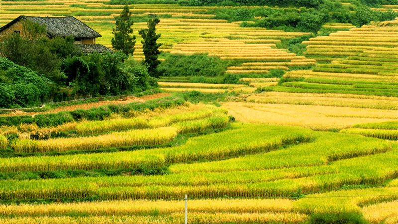 旅居云南好在文山|旅居富宁的“优选目的地”