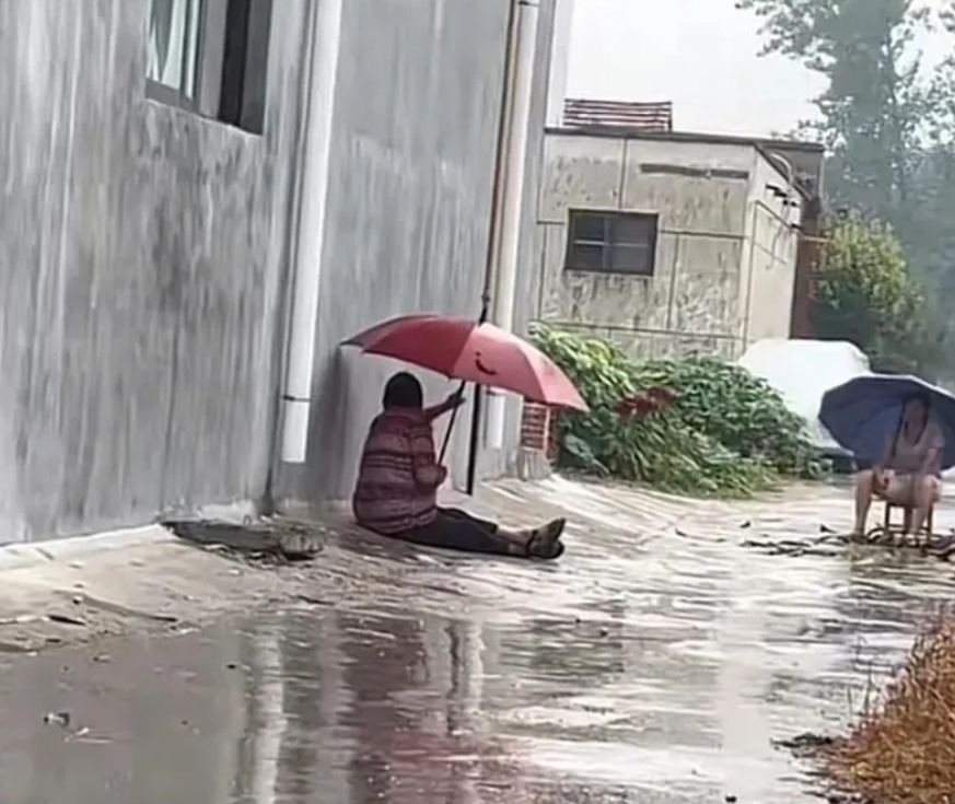 “张口就是国粹啊！”近日，河南，发生了一件令人啼笑皆非的事情，两位村妇为了一颗窝