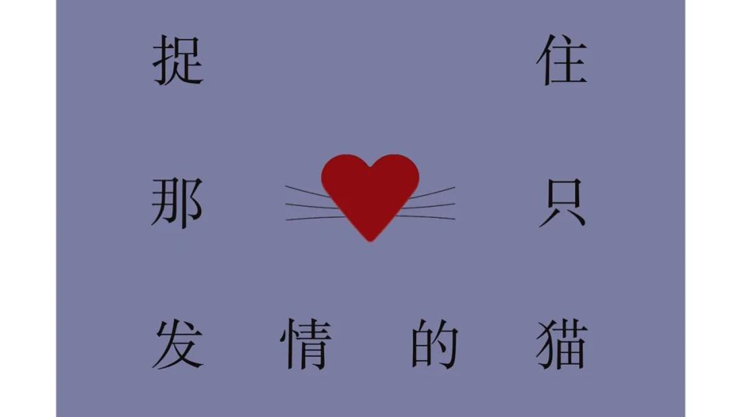 好书分享《捉住那只发情的猫》