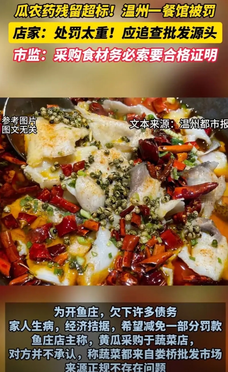 “不查源头，查末端？”浙江温州，市监所抽查饭店黄瓜发现农药残留超标，对老板作出罚