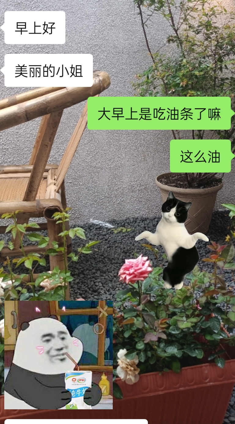 不说别的，我也是有点实力的