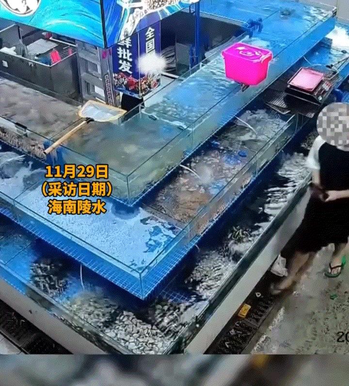闹大了！海南陵水，一男子向农贸市场的海鲜档口内投放大量不明液体，导致大量海鲜死亡