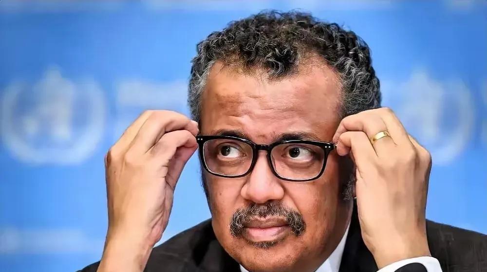 谭德赛的头大了！请大家不要再为难他了，其实他什么也不知道！
以往虽然说过一些不该