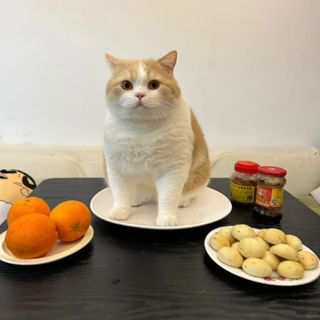 这是我们家招待客人的招牌菜！
水果 + 点心 + 这一大盘猪肉
吃辣的还可以配上