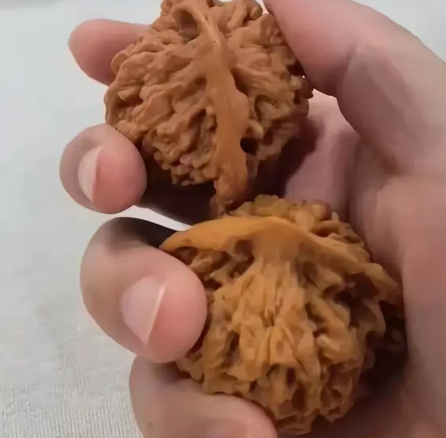 我爸从北京花500块买了对核桃回来盘，昨晚却被儿子摔烂了，这一摔可把我爸心疼坏了