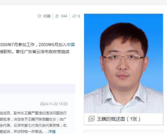中纪委消息，王巍被双开