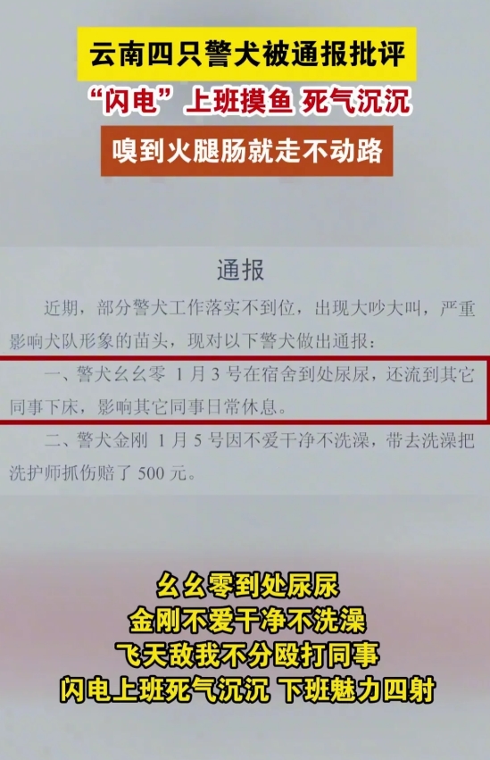 云南楚雄公安对四只工作不落实的警犬进行了通报，说它们上班摸鱼到处尿尿。如果把警犬