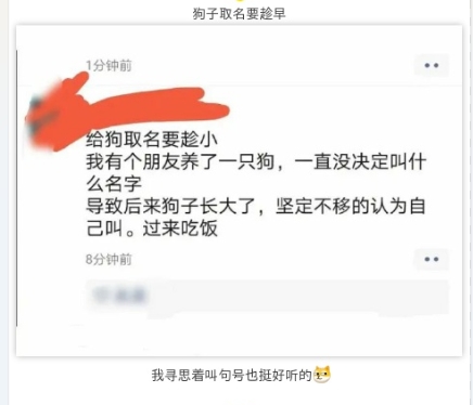 狗子取名要趁早