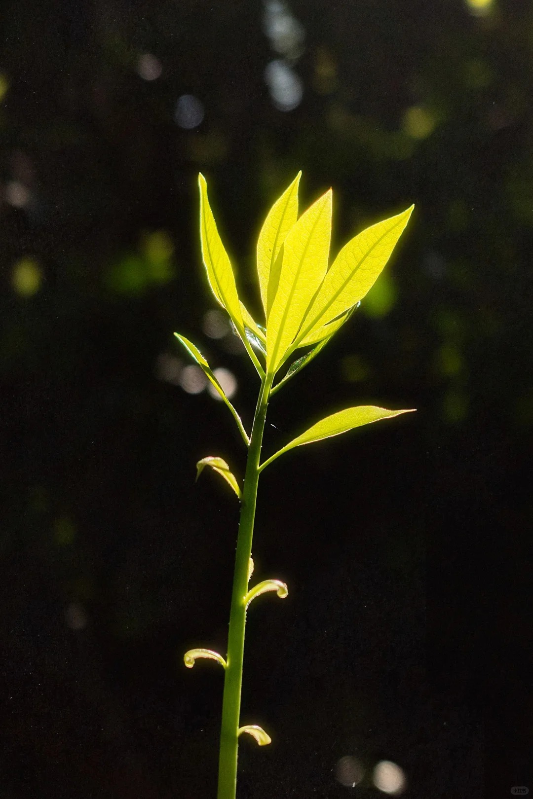 拍照就是在感受