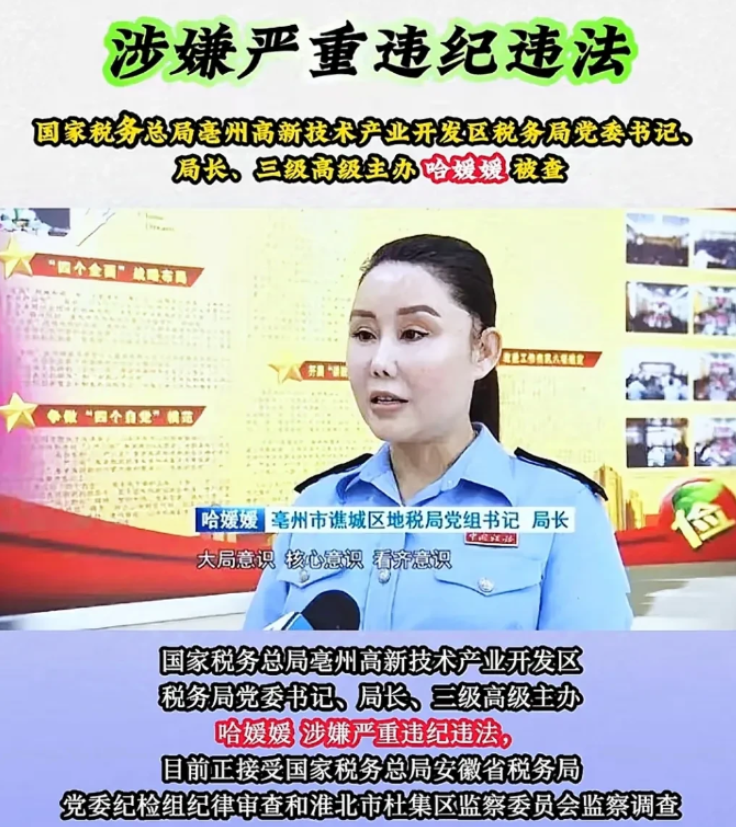 美女税务局长哈媛媛竟然落马了！她不仅年近50还貌美如花，更是荣誉满身！这位回族美