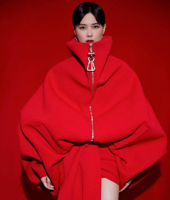 李宇春自出道便凭借独特魅力与实力走红。连续20年零点压轴跨年，这一殊荣无人能及。
