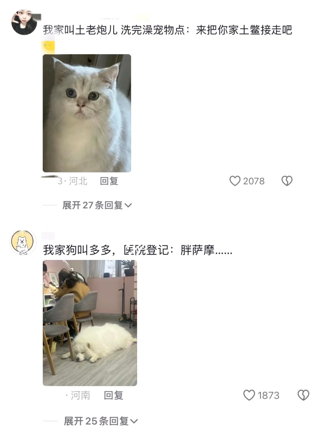 果然，宠物在外面是有别的名字的哈哈哈
小葵，反手登记一个小蔡
哈哈哈