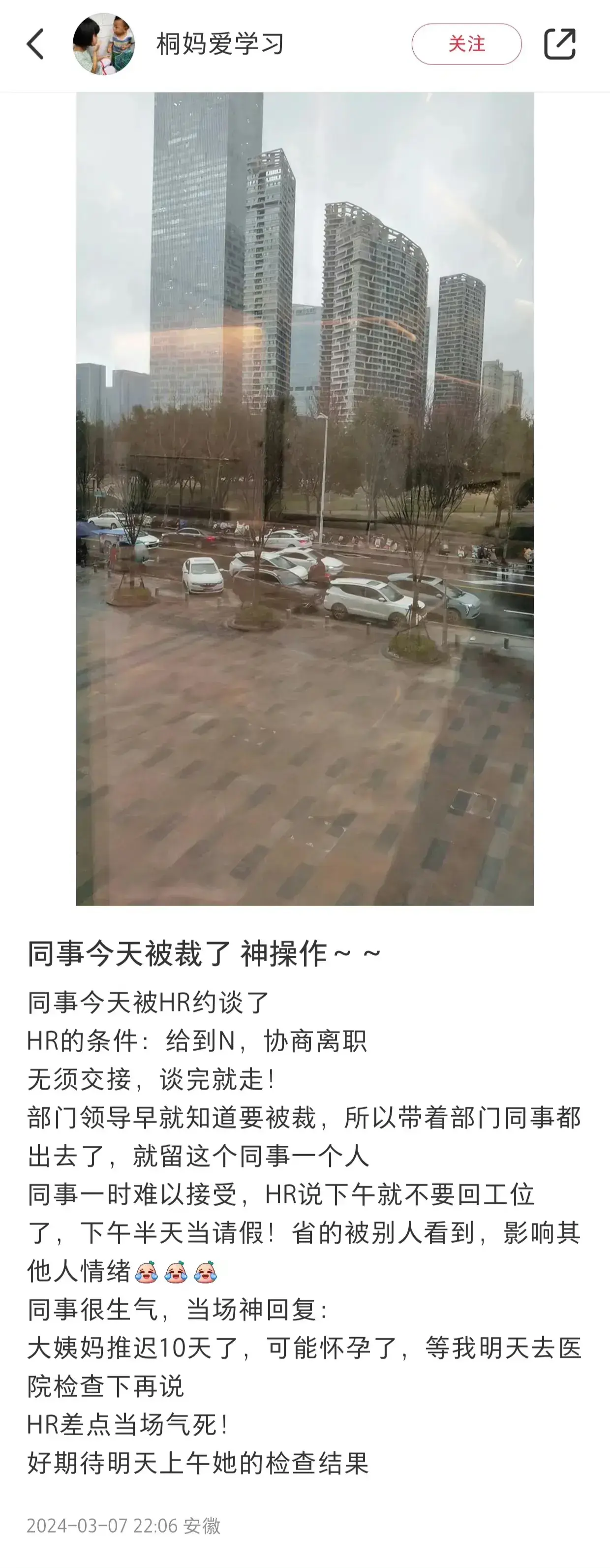 同事今天被裁了，神操作