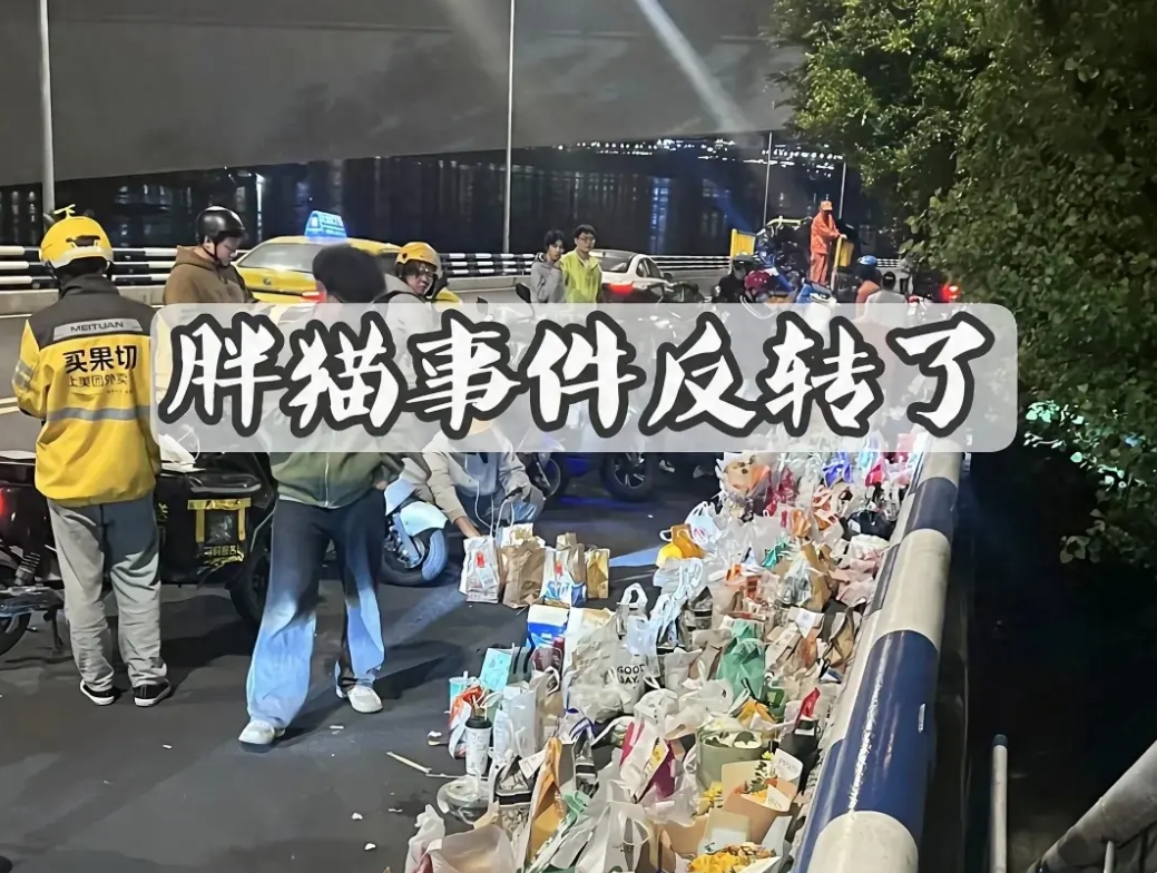 这波流量算是被胖猫姐姐玩儿明白了，说一个可能被打的观点，死亡的动机要么就是逃避现
