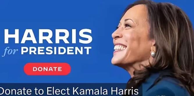 哇塞，刚刚美国政坛又投下了一颗震撼弹！副总统哈里斯正式宣布，那个曾经言辞犀利、争