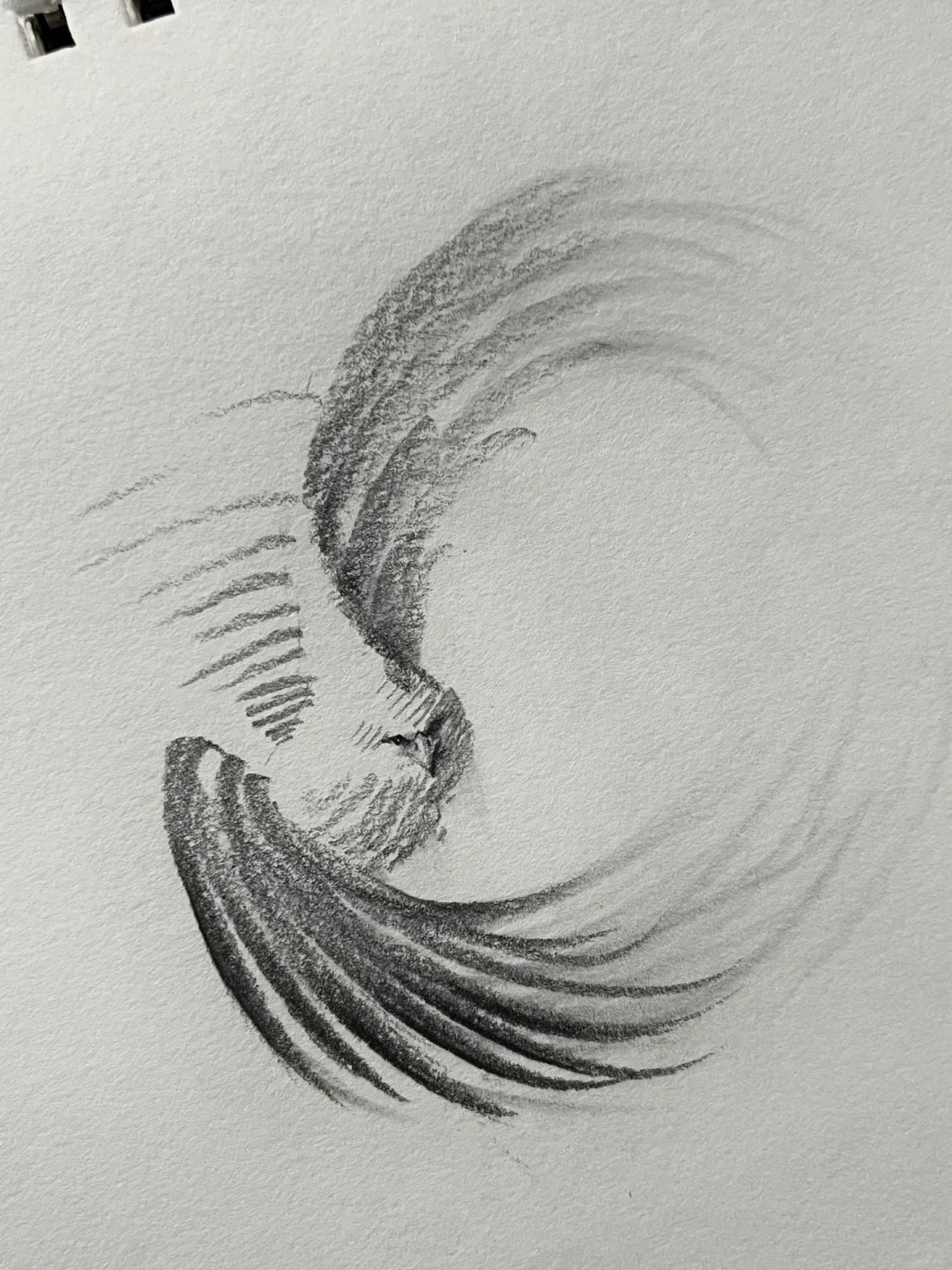 欢迎来到，我的视界🔥
#画画的日常

给大家整理一下我画的动物部分小合集
采用