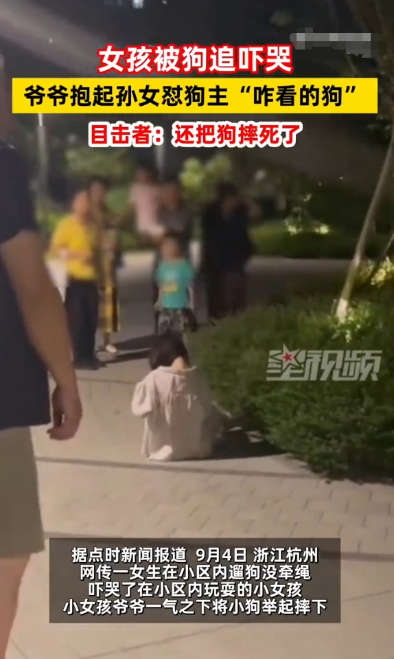 遛狗为什么不牵绳？不管狗狗有没有咬人，不牵绳，还追着人家小孩，那肯定有问题，万一
