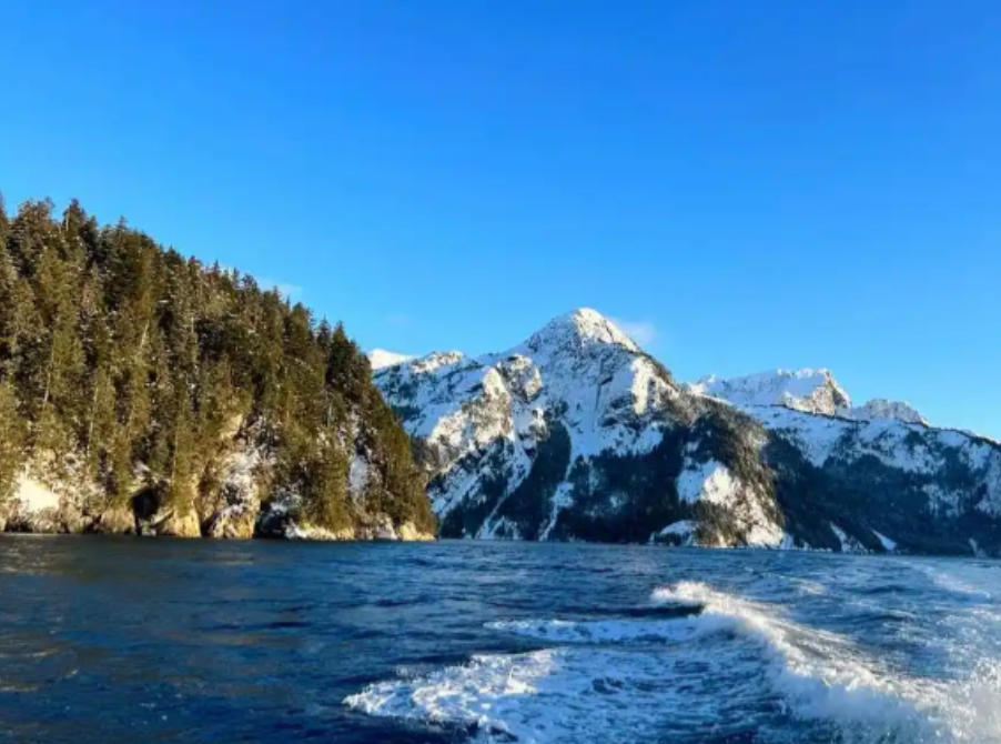 1867年，俄罗斯以720万美元的价格将阿拉斯加卖给了美国。考虑到当时美元的购买