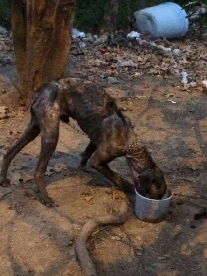 愿每个生命都被温柔对待