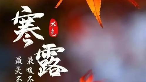 寒露如诗，溪流相伴