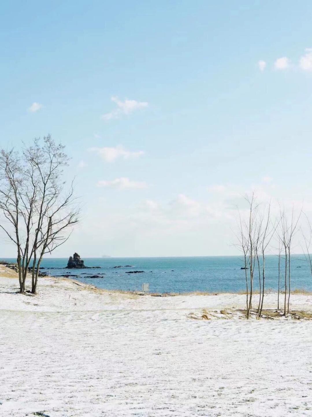 青岛雪景️❄️不输威海‼️不输北海道‼️