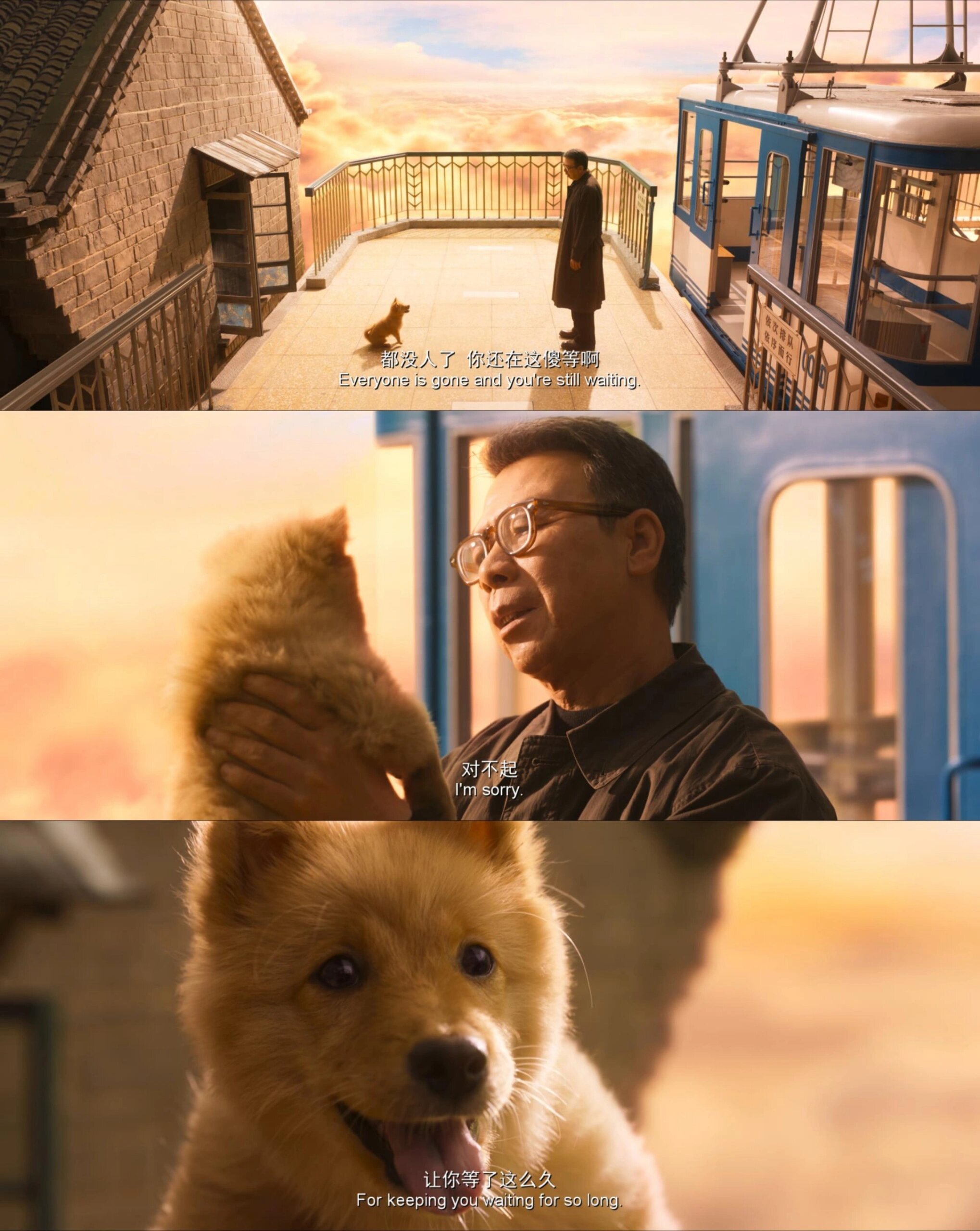 别因为翻拍，错过《忠犬八公》，不只是好哭