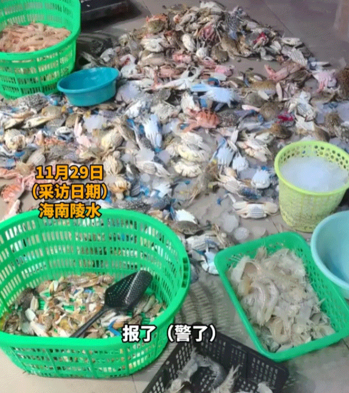闹大了！海南陵水，一男子向农贸市场的海鲜档口内投放大量不明液体，导致大量海鲜死亡