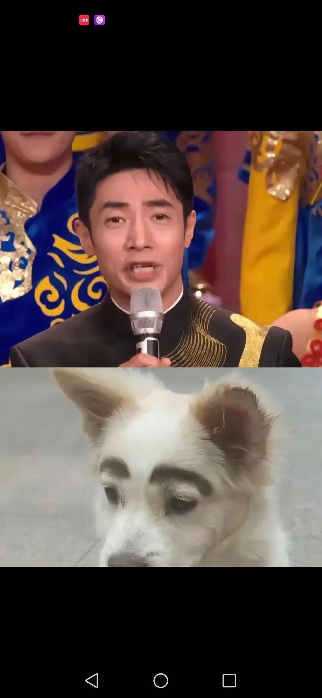 撒贝宁作为一个主持人，太难了。
主持他是专业的，搞笑他是认真的。
一个人撑起了一
