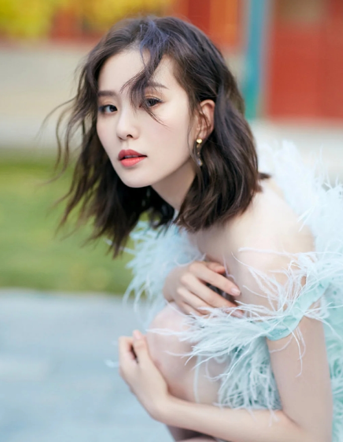 刘诗诗的演艺生涯