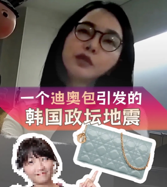 韩国人怎么都想不到，因为一个女人一个包包，把全国搅得鸡飞狗跳