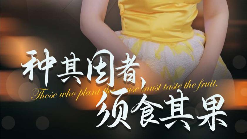 种其因者须食其果短剧、在线观看《种其因者须食其果》完整版全集（45集）欧阳千然、毛娜