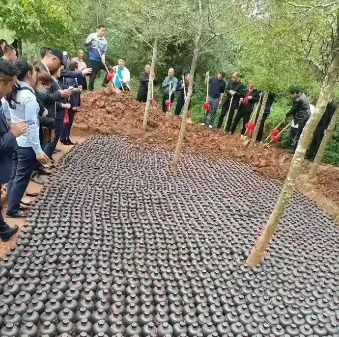 我敢说，10年后这酒基本没用了！