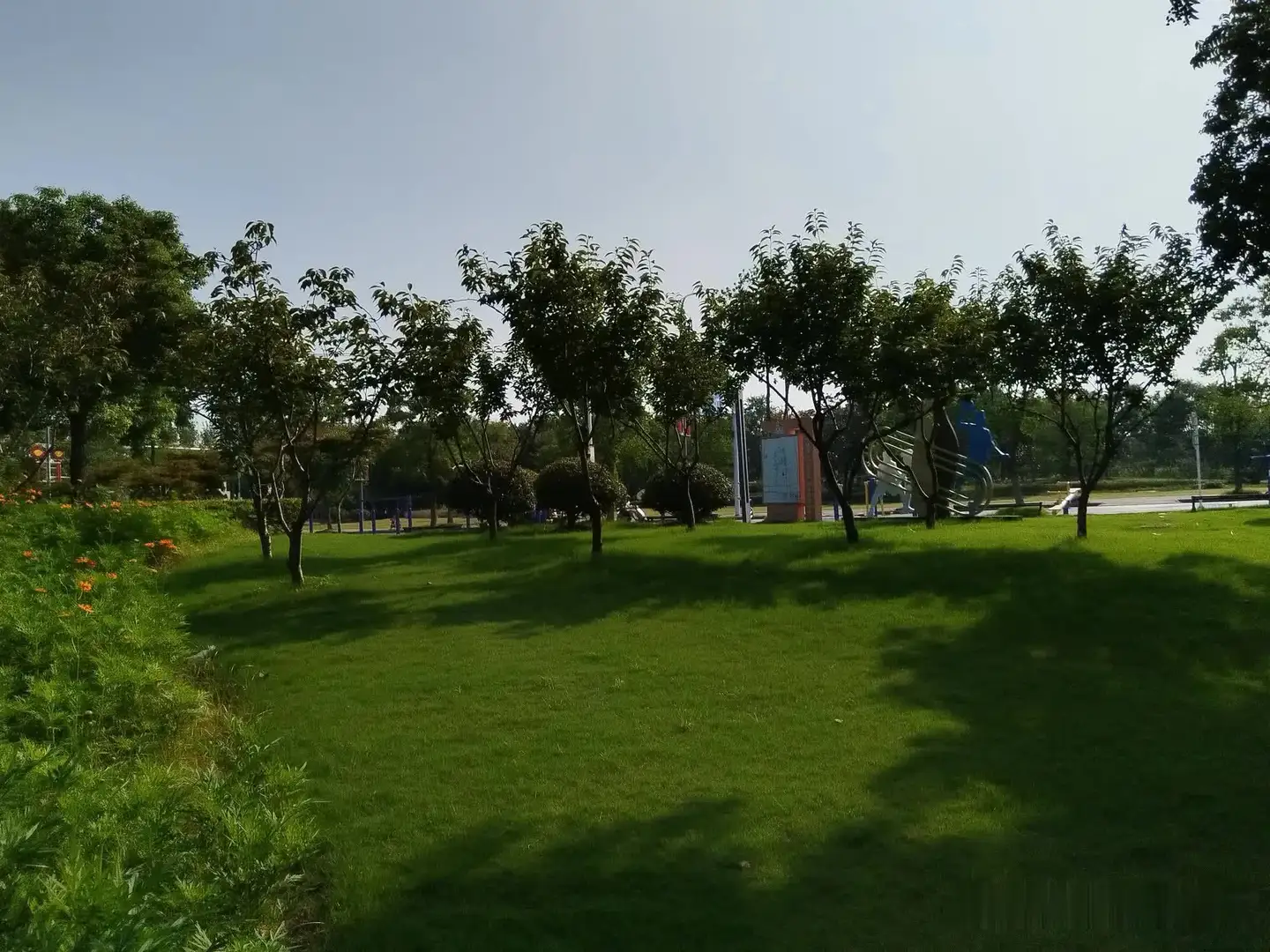 发现没有，现在生儿子的父母都想开了。
