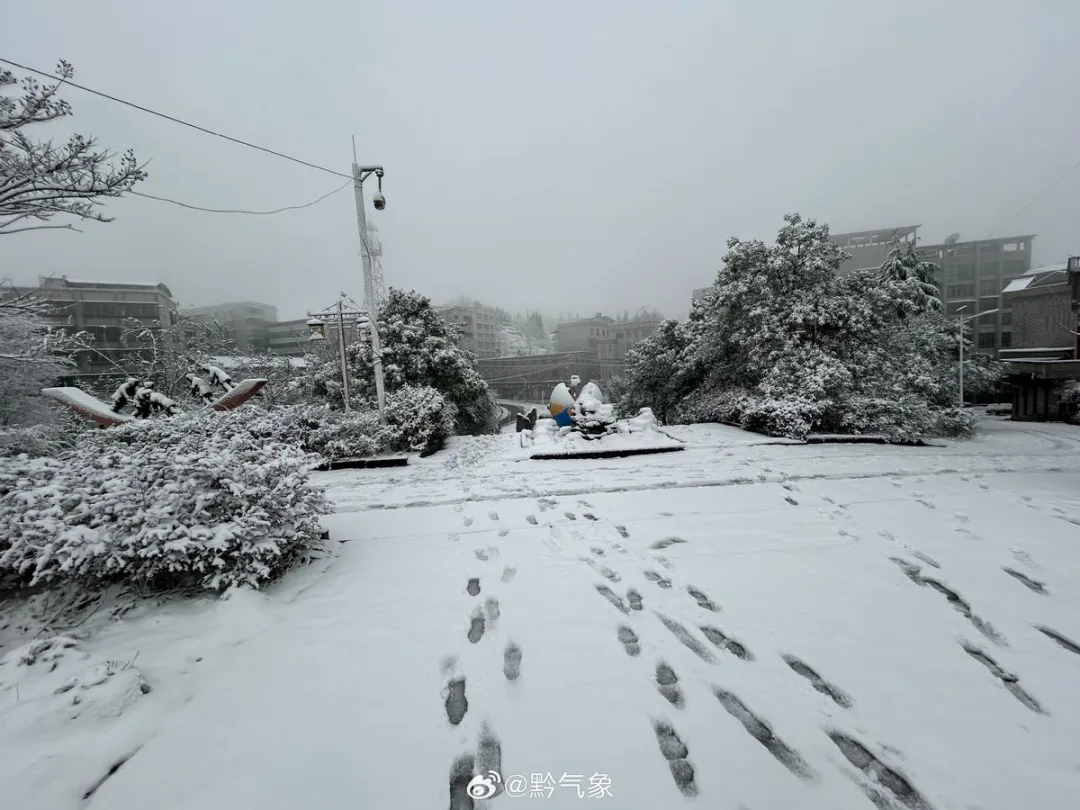 降雪不少，大范围雨雪撤回了，三九冷空气多：1月中旬冷暖波动大