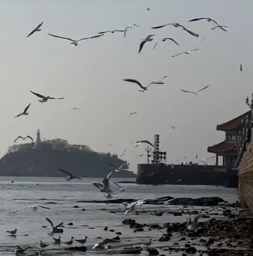 我真后悔结婚。结婚这么多年，孩子都小学六年级了，老公一直说戒烟戒酒，说了这么多年