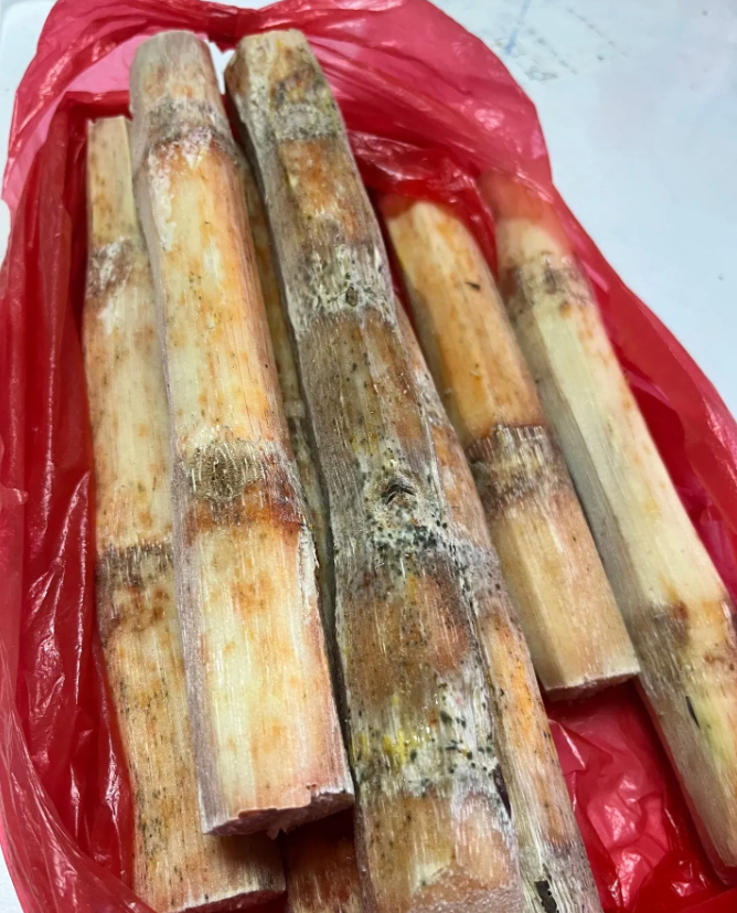 前段时间买了一整根甘蔗，因为没有趁手的工具，于是就让老板削成一节一节的，老板还说