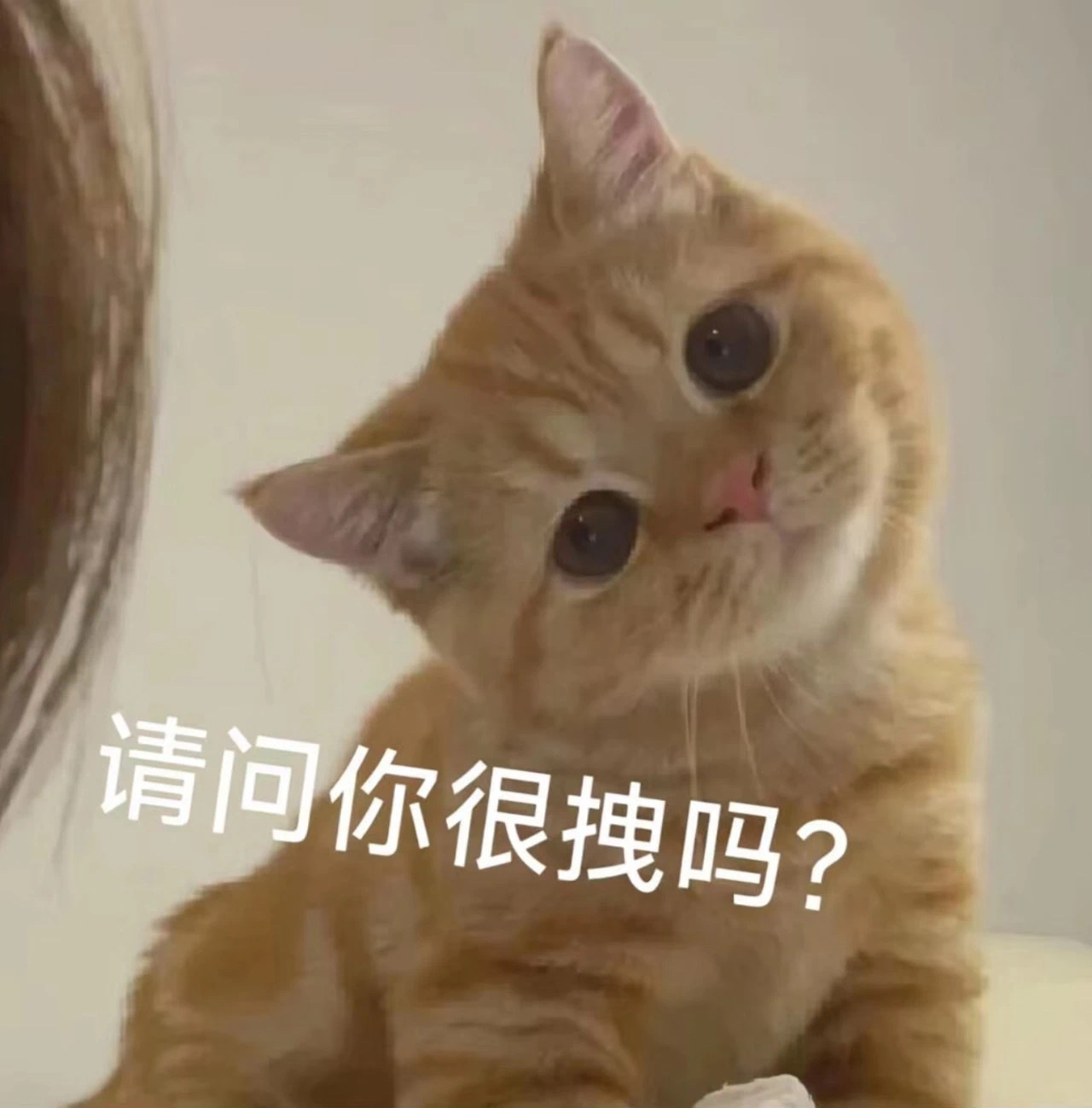 你骂人还挺高级的