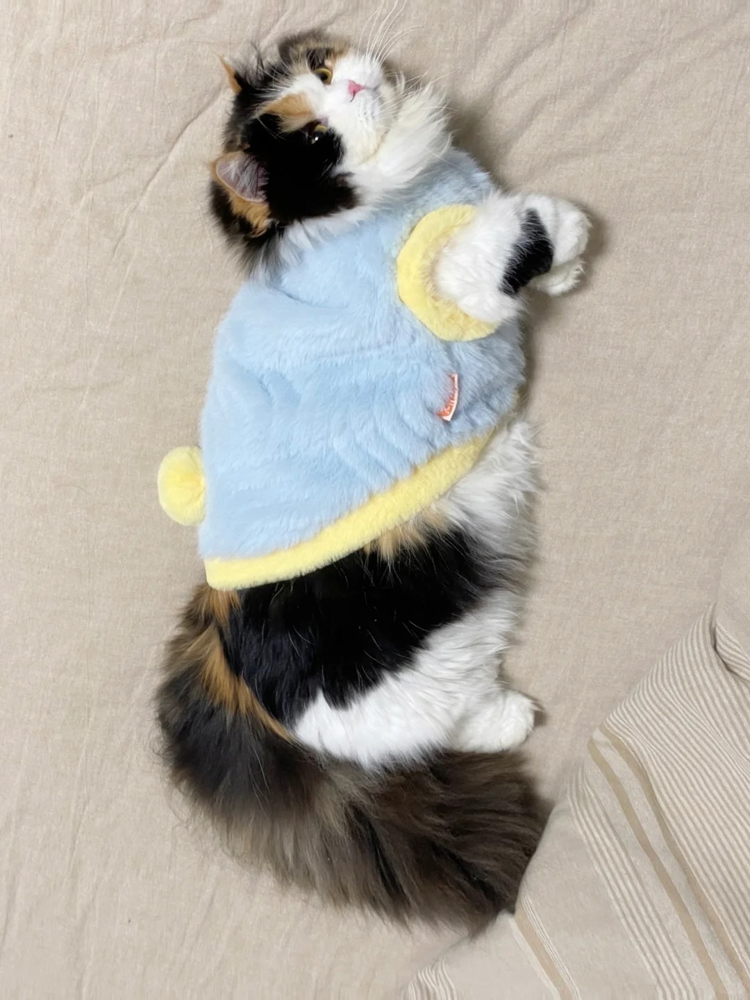 妈妈，其实我没那么冷
有一种冷  叫你妈觉得你冷😅

上班时间摸鱼给她喂点饭吧