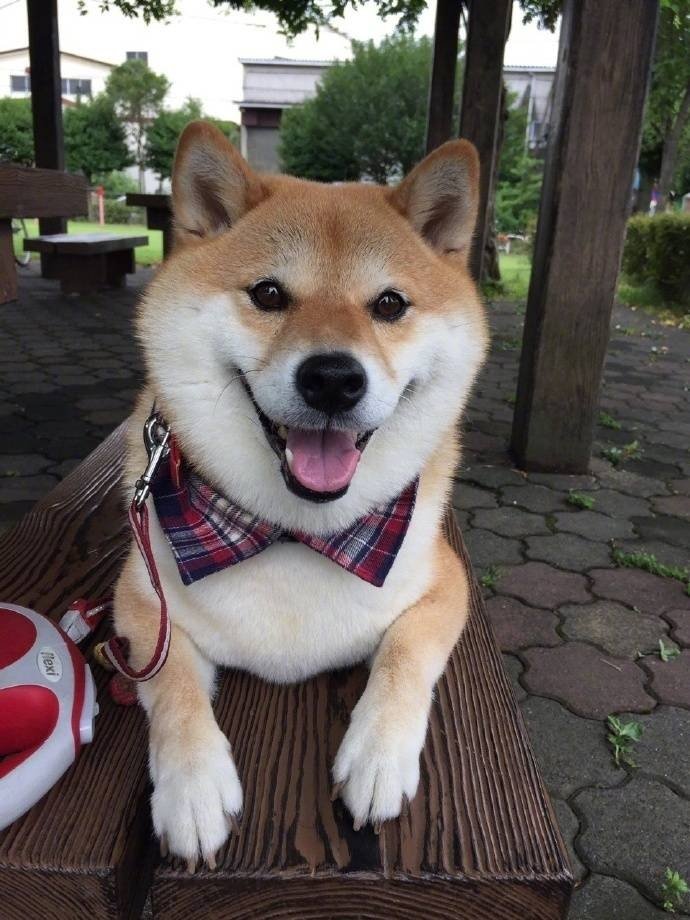实践证明了这一点